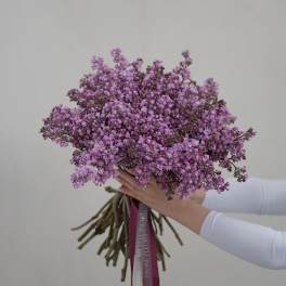 Spring Serenade