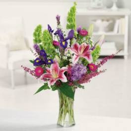 Stargazer Garden Flower