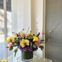DESIGNER'S CHOICE - Everything nice with many options