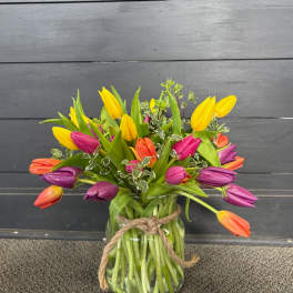 Colorful Tulips