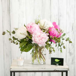 Pink and white peonies in a clear glass vase with greenery