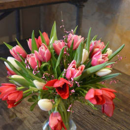 Sweet Sweet Tulips