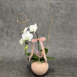 Mother's Day Artistic Zen Orchid Design