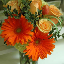 Starburst Of Orange