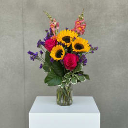 Sunflower Power