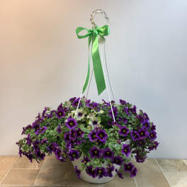 Petunia Hanging Basket