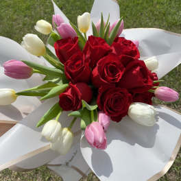 Bouquet of red roses and pink and white tulips wrapped in white paper