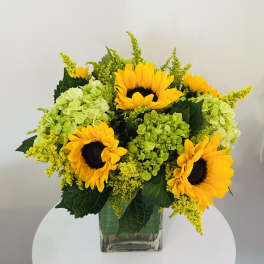 Sunflowers and green hydrangeas in a clear glass vase