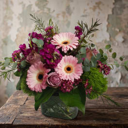 Olympia Sweetheart Blooms