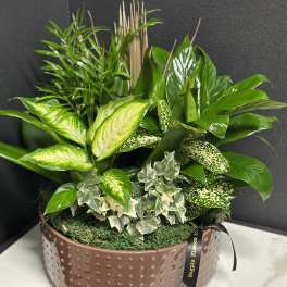 12" Ceramic Dish Garden