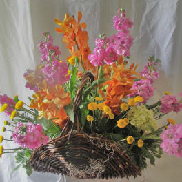Sunshine in a Basket