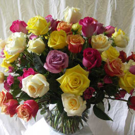 Garden Roses