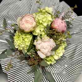 Bouquet of pale pink peonies and green hydrangeas wrapped in striped paper