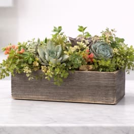 English Garden by BloomNation™