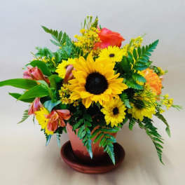 Mixed bouquet with sunflowers and orange roses in a terracotta pot