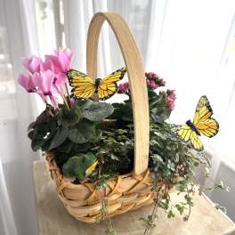 Butterfly Blooming Basket