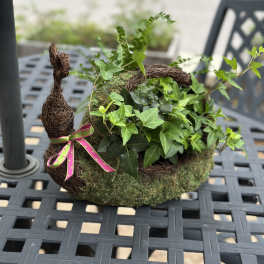 Patio Pal