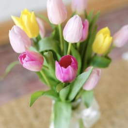 Vase of pink and yellow tulips tied with a white ribbon