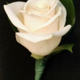 Classic White Rose Boutonniere