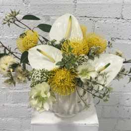 White anthuriums and yellow pincushion blooms in a white vase