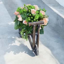 Garden Bike