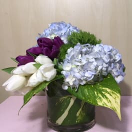 Purple and white tulips with blue hydrangeas in a glass vase