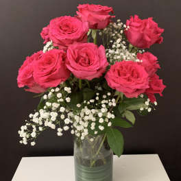 Amazing roses