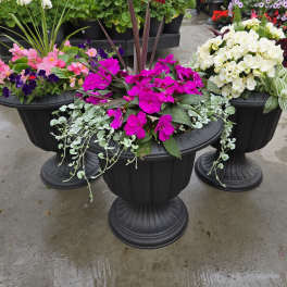 Three colorful potted flower planters displayed outdoors