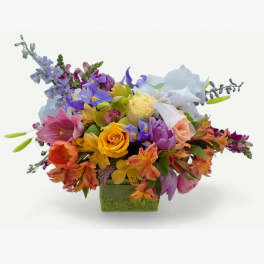 The Beautiful One Mixed Blooms