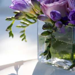 Lavender Delight!