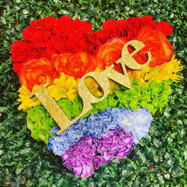 Rainbow Heart PLA17