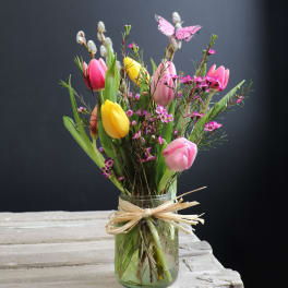 Tulip Melody