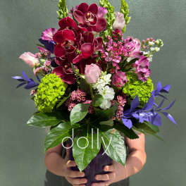 Plum Serenade