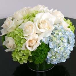 White Roses and Blue Hydrangeas - Pasadena Florist