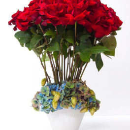 Red Roses Standing Tall