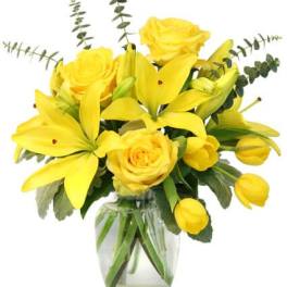 SUNSHINE OF SPRING