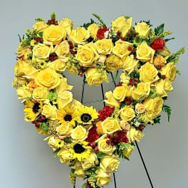 Sunshine Heart