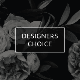 45 | Designer's Choice - petite
