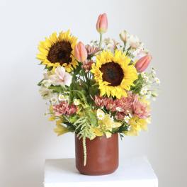 Sweet & Sunny