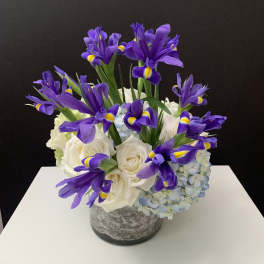 Love Blue