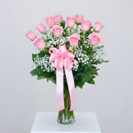 Long Stem Pink Roses