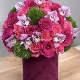 Pretty in Pinks