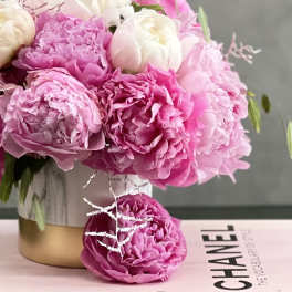 Peony Bellissimo - Pasadena Florist