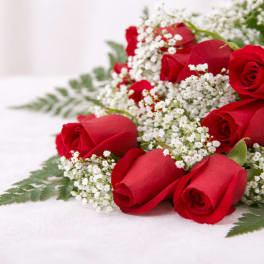 Red roses with white baby's breath on a white surface