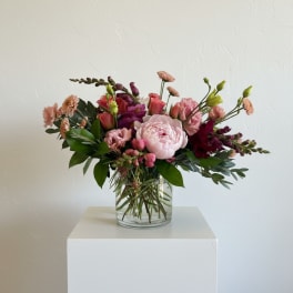 Peony Passionn