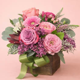 Blushing Lavender Garden Box – Designer’s Choice | Mother’s Day Special
