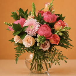 Peony Pop – Weekly Floral Special