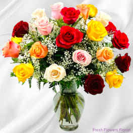 Assorted Colors (Picture Premium)