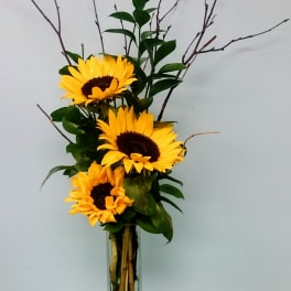 Rays of Sunshine