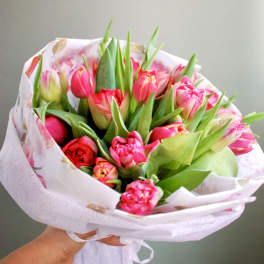 Bouquet of pink and red tulips wrapped in white paper